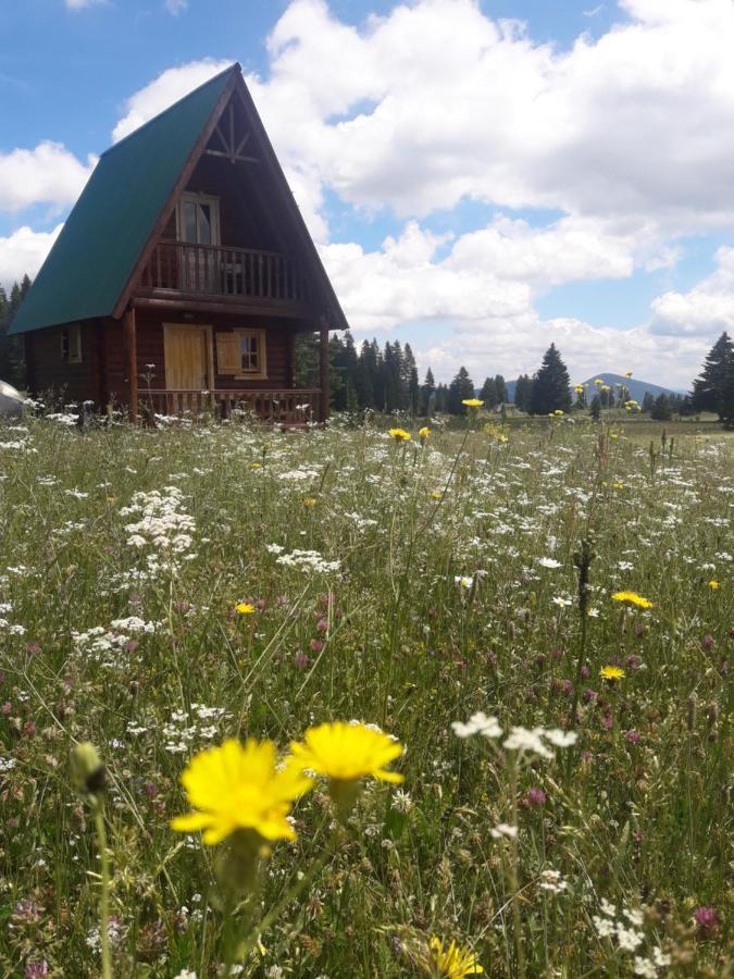 Holiday Home Jabucilo Žabljak Esterno foto