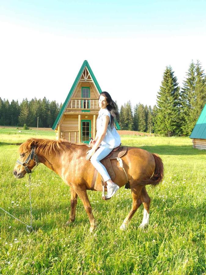 Holiday Home Jabucilo Žabljak Esterno foto